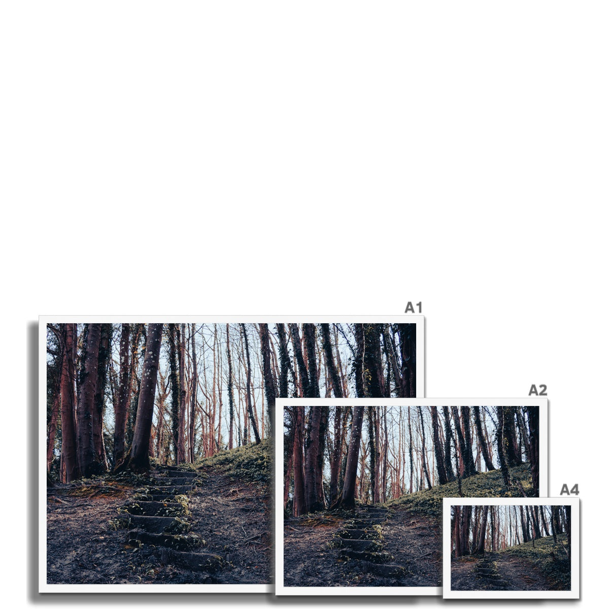 Green Escape Framed Print