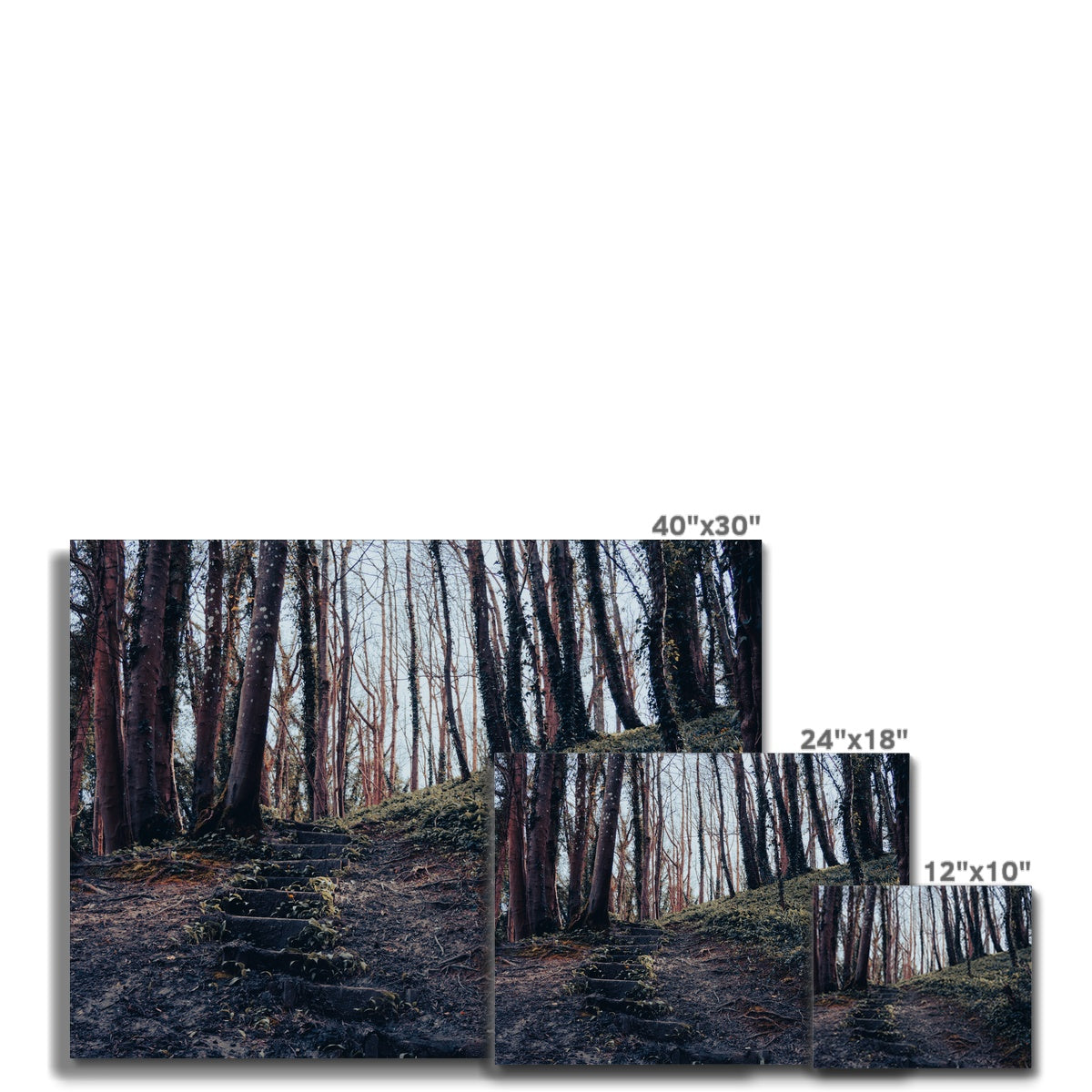 Green Escape Canvas