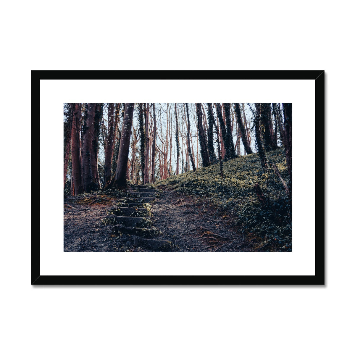 Green Escape Framed & Mounted Print