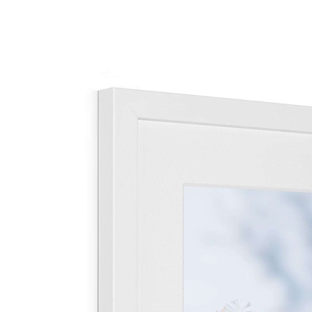 Delicate Whispers Framed & Mounted Print