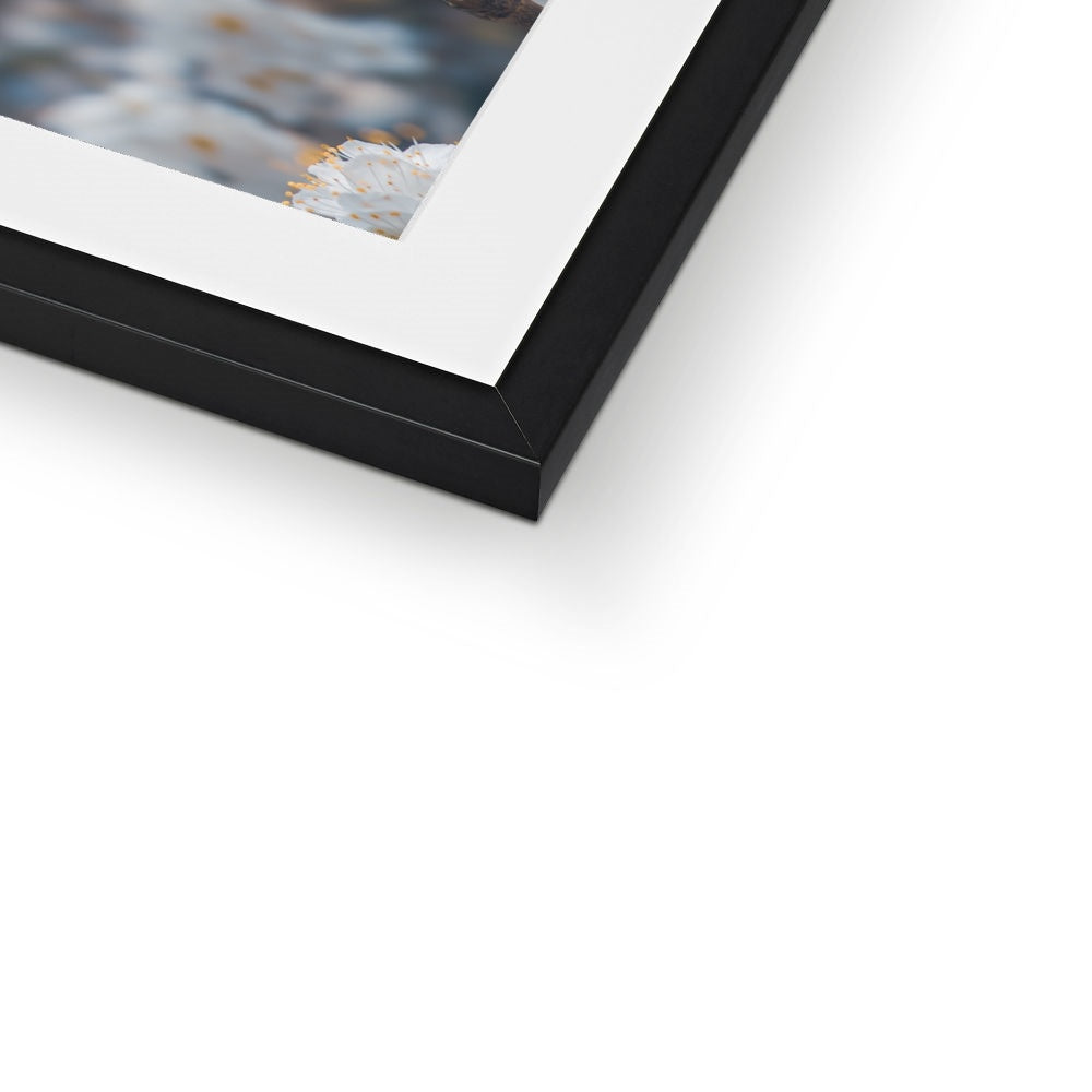 Delicate Whispers Framed & Mounted Print