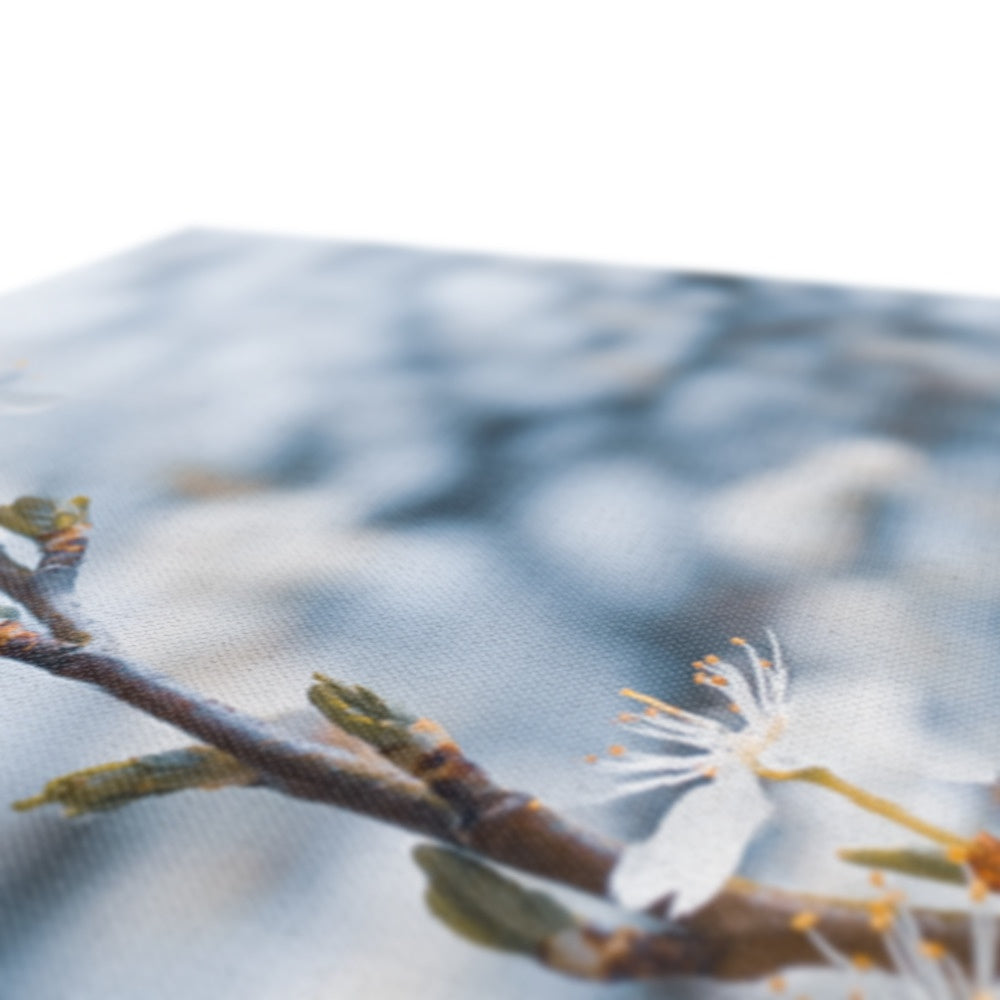 Delicate Whispers Canvas