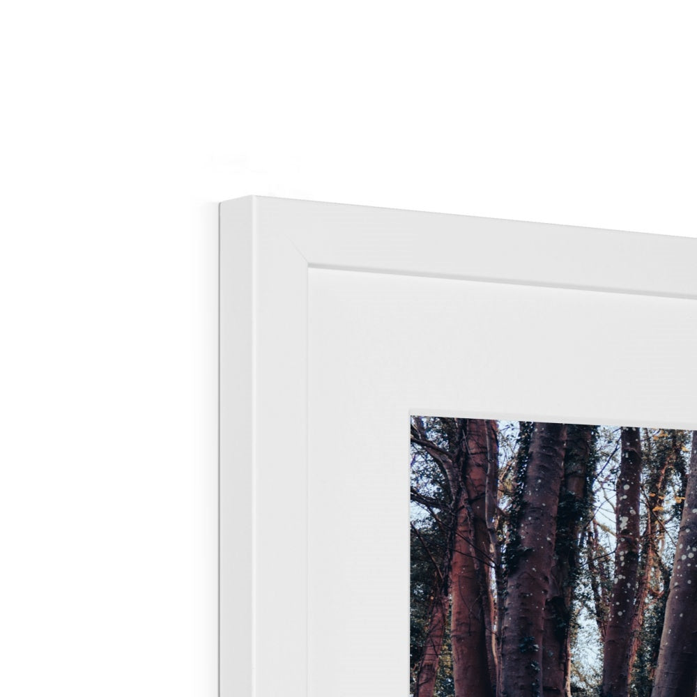 Green Escape Framed & Mounted Print