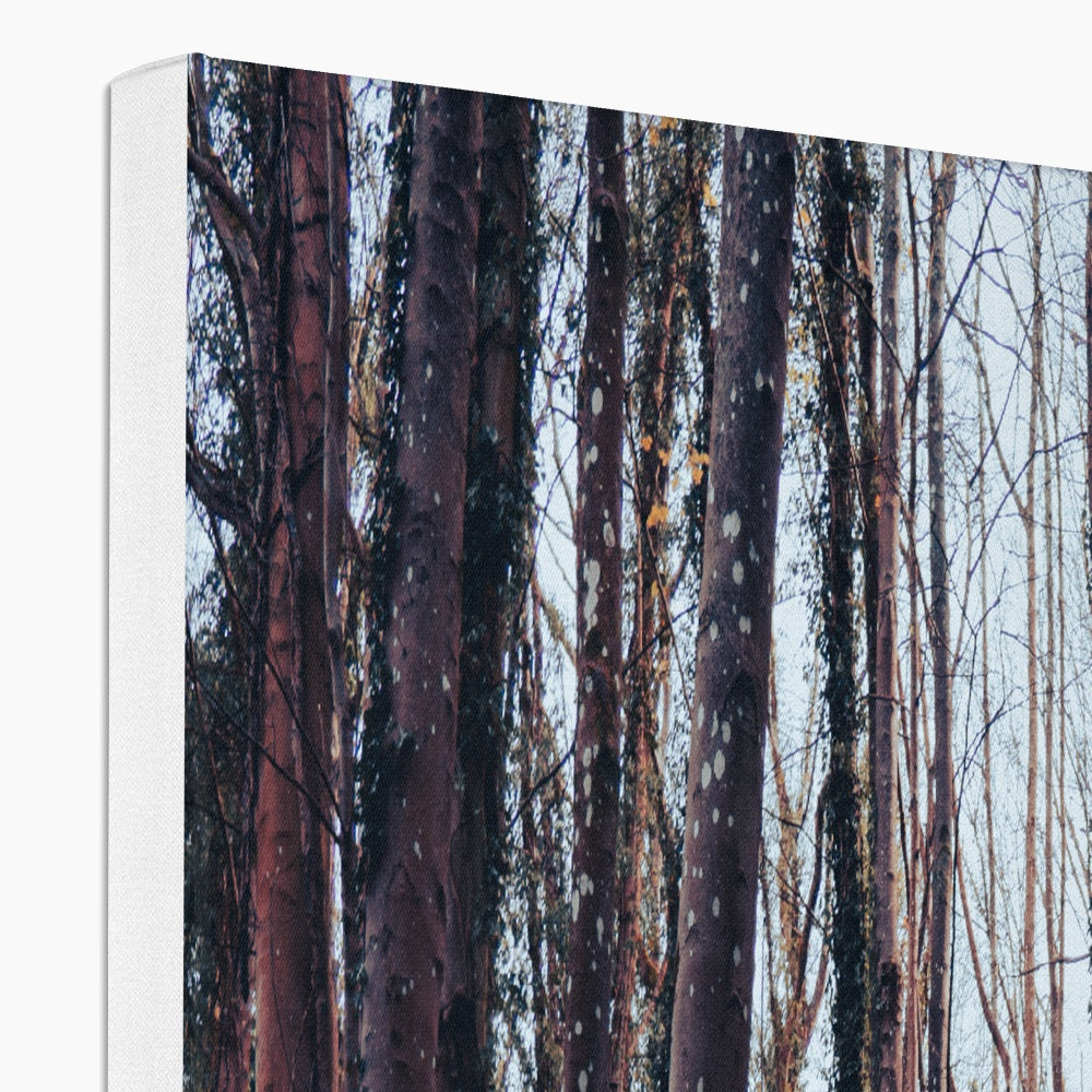 Green Escape Canvas