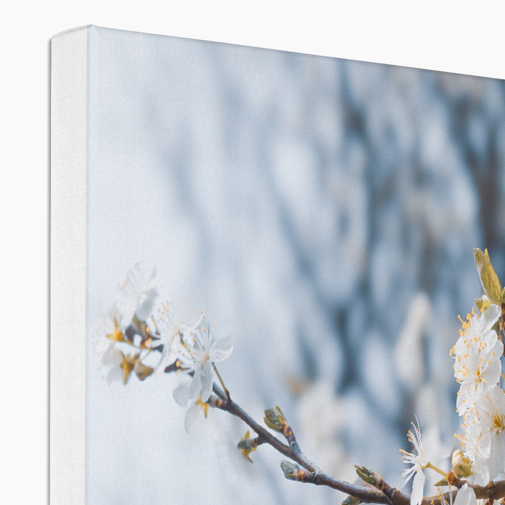 Delicate Whispers Canvas
