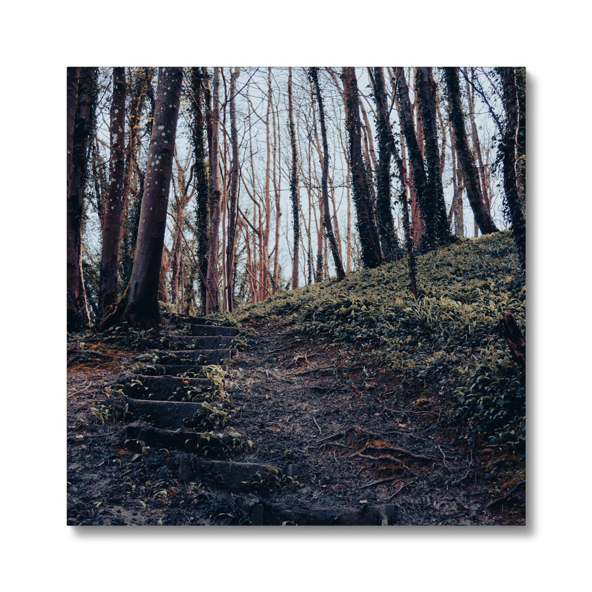 Green Escape Canvas