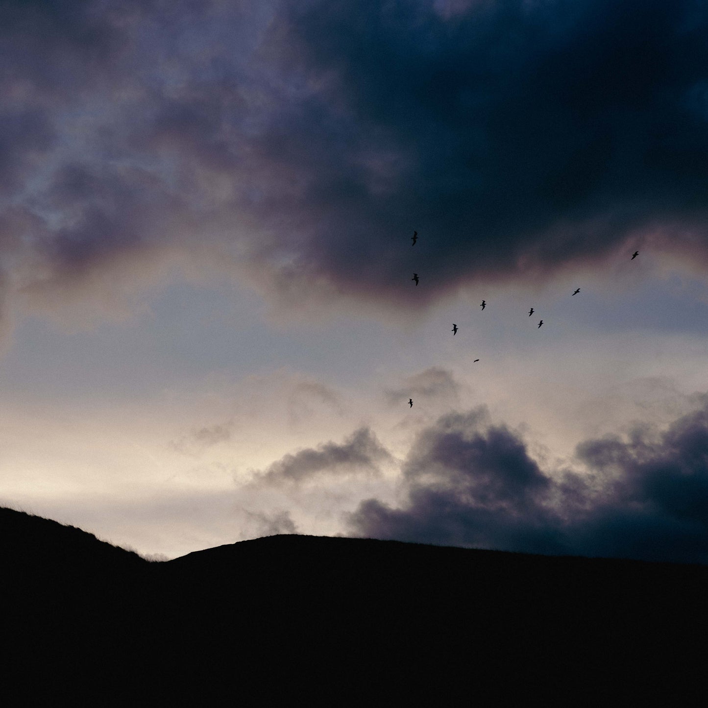 Dramatic Ascent Framed & Mounted Print