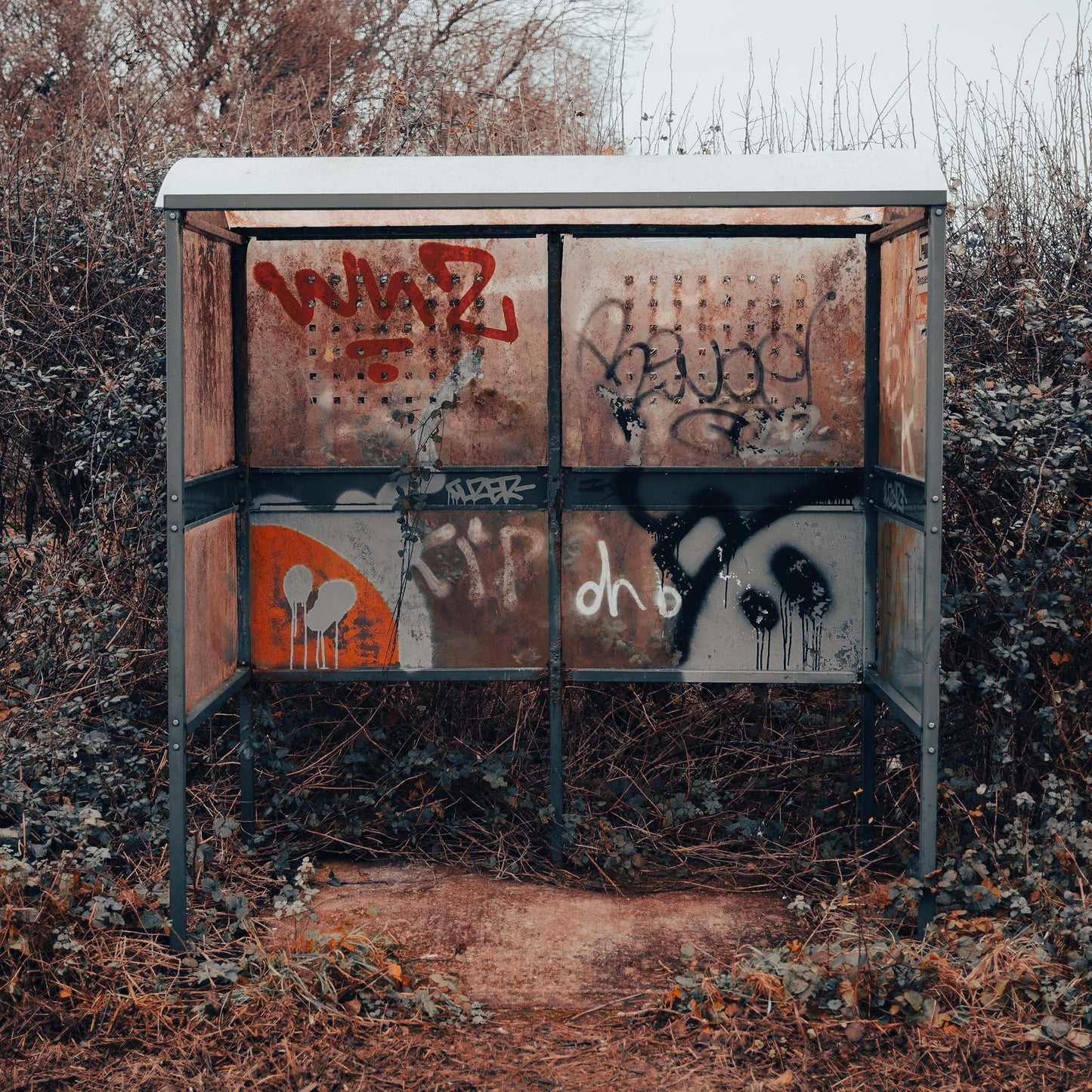 Rural Rebellion Canvas