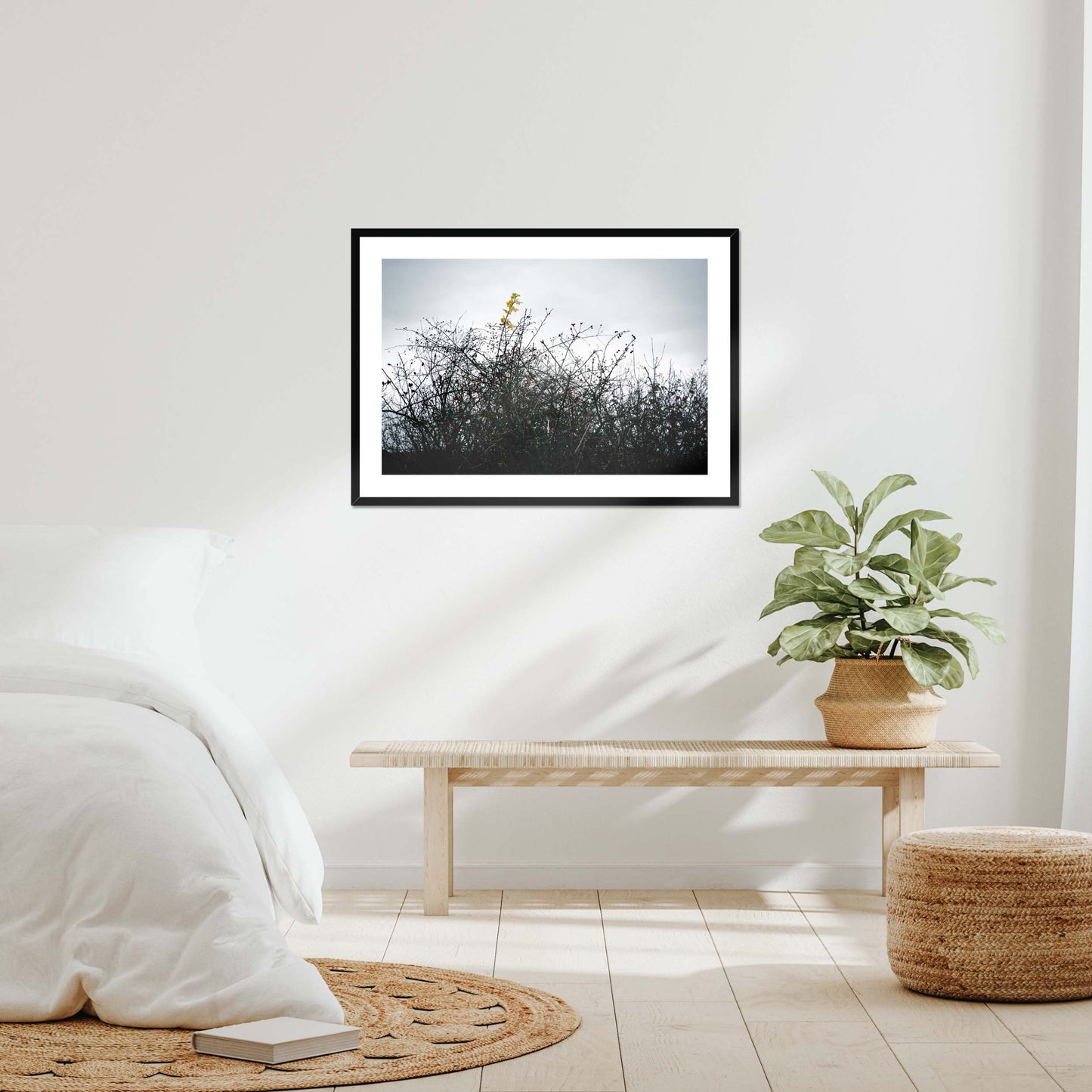 Vivid Harmony Framed & Mounted Print