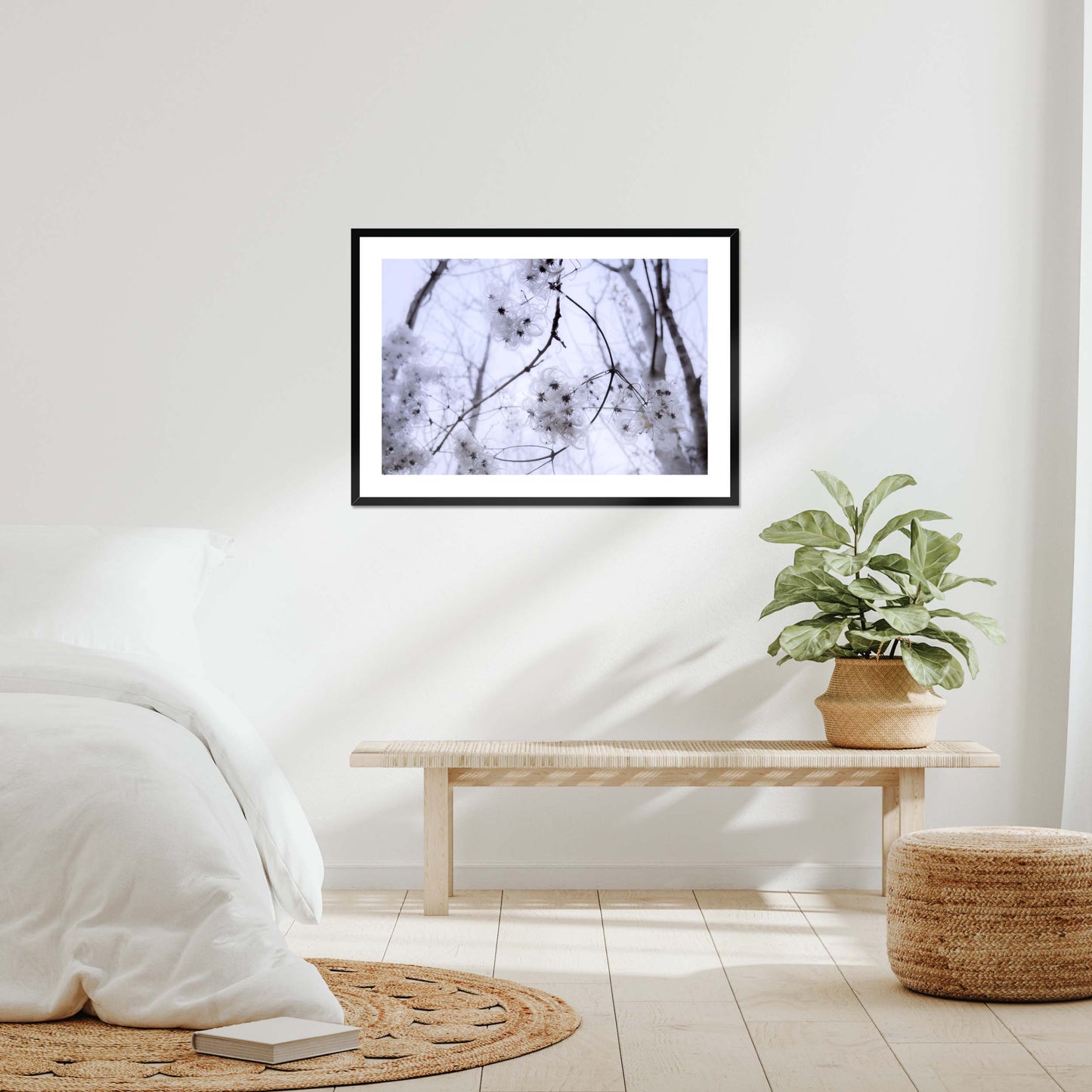 Whispers of Light Framed & Mounted Print