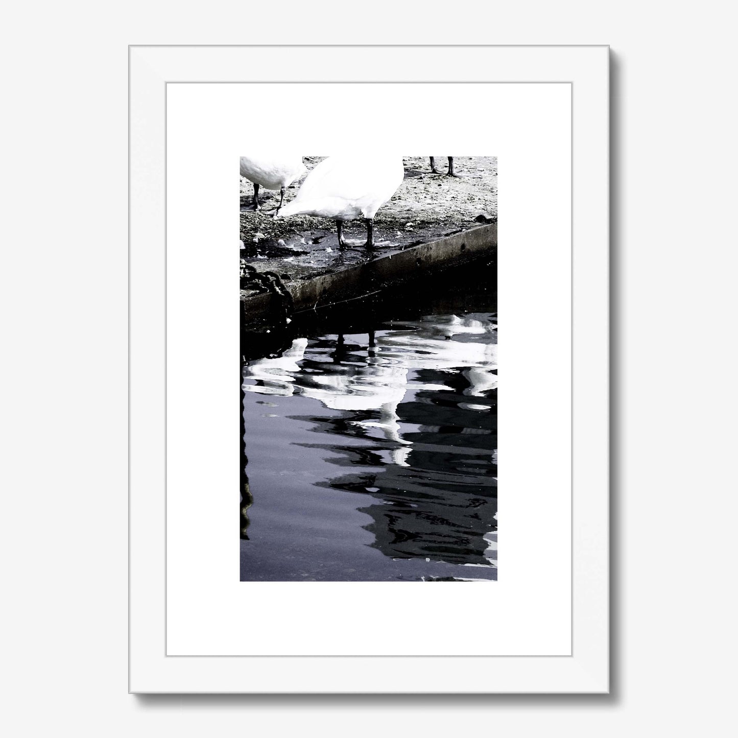 Reflections of Grace Framed & Mounted Print