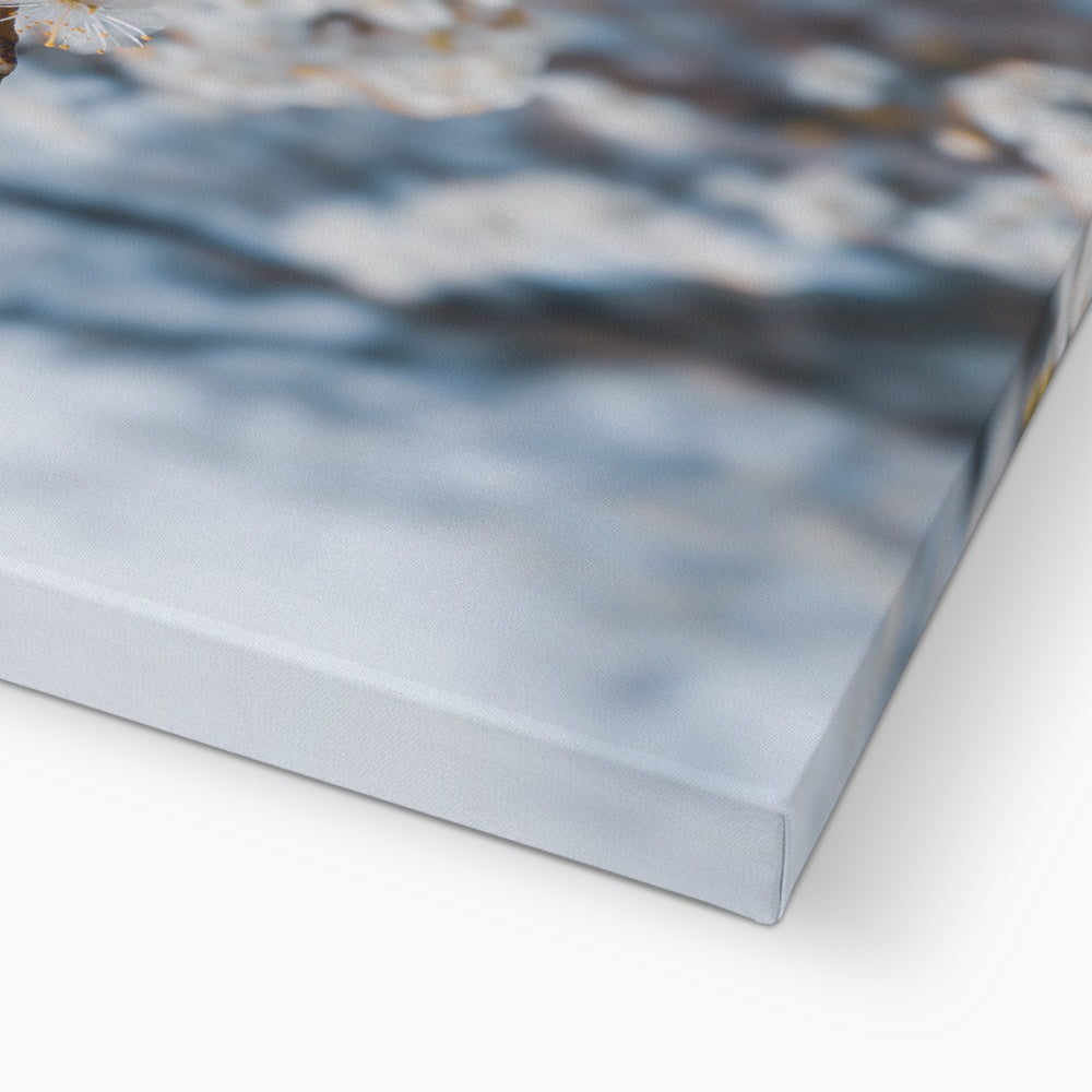 Delicate Whispers Canvas