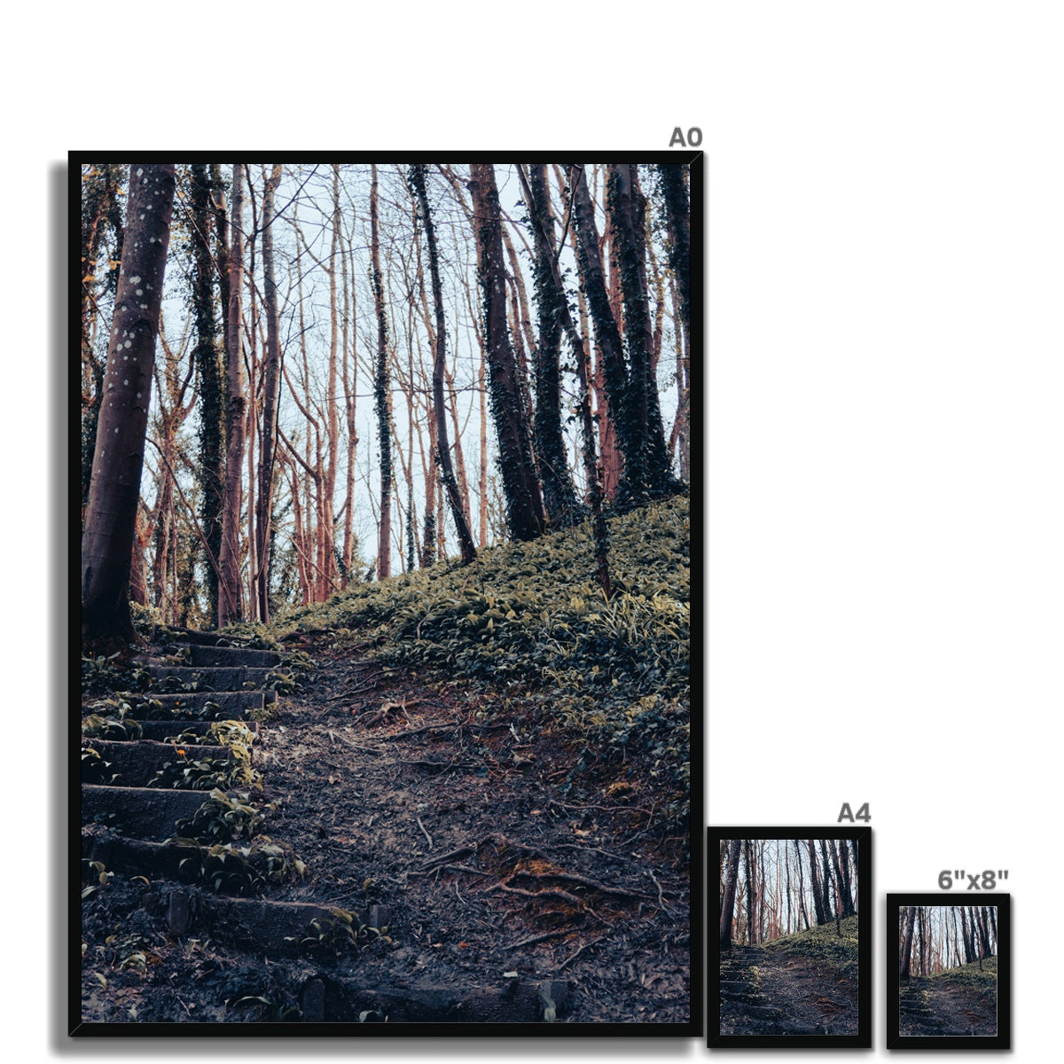 Green Escape Framed Print