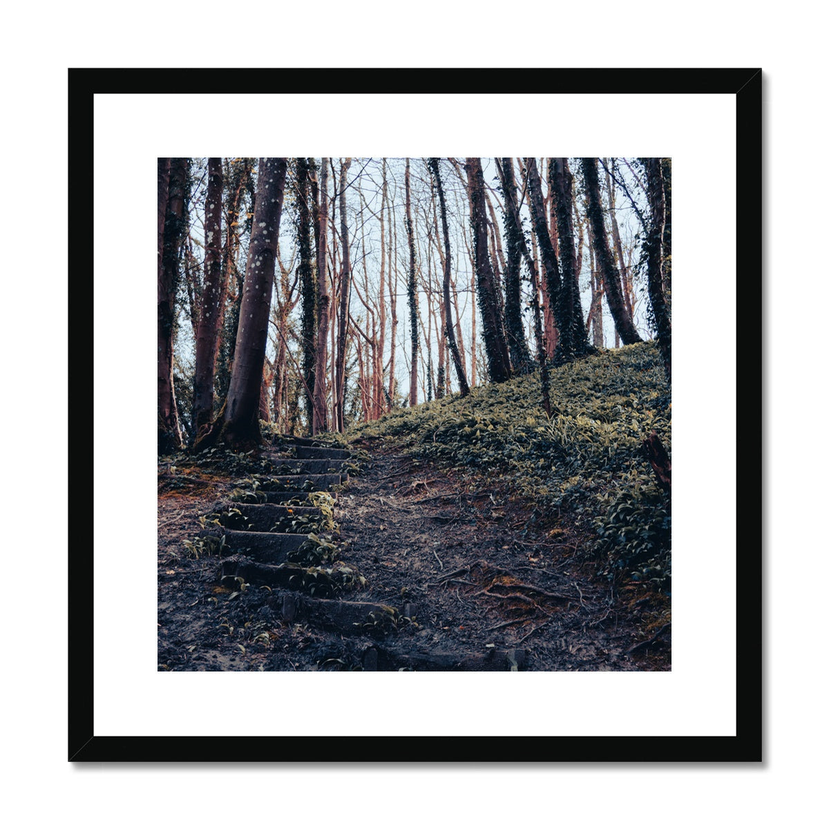 Green Escape Framed & Mounted Print