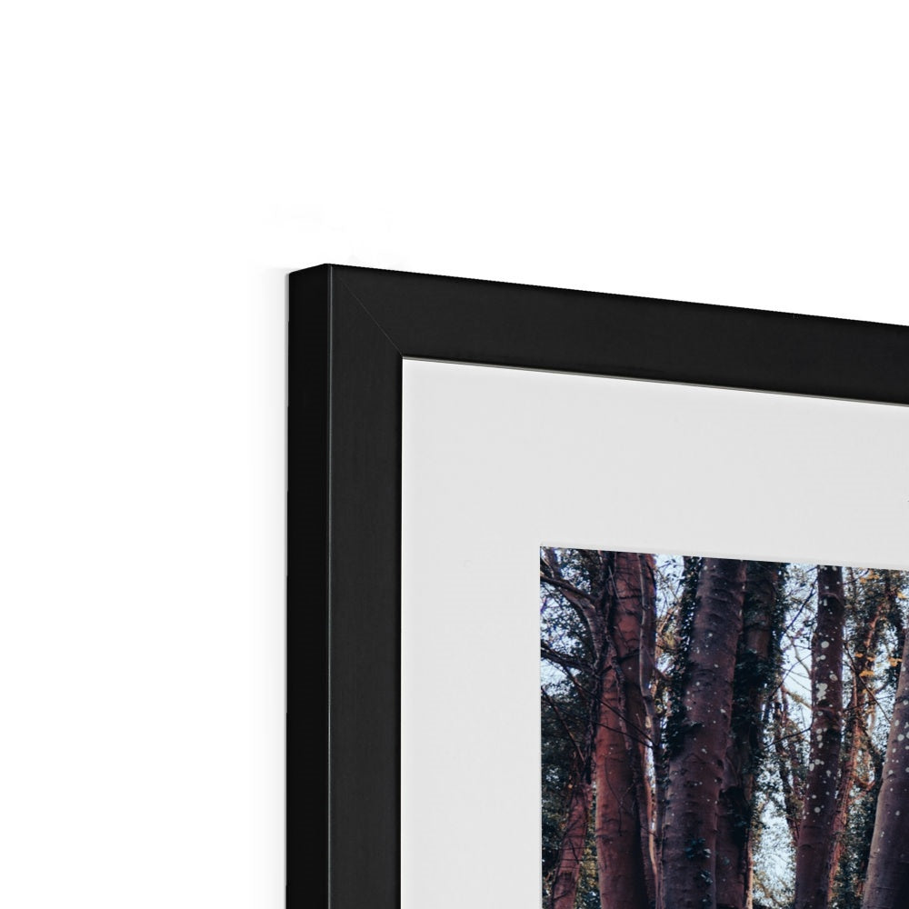 Green Escape Framed & Mounted Print