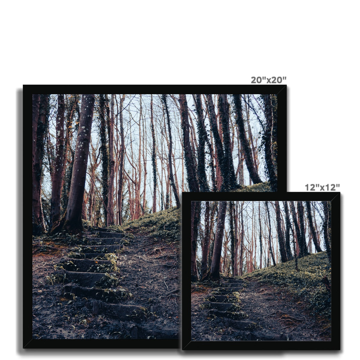 Green Escape Framed Print