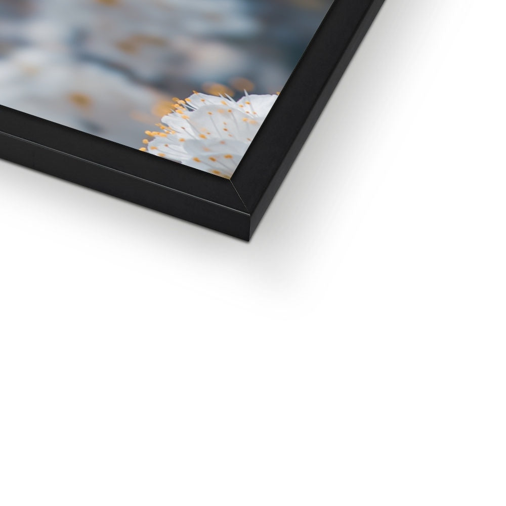 Delicate Whispers Framed Print