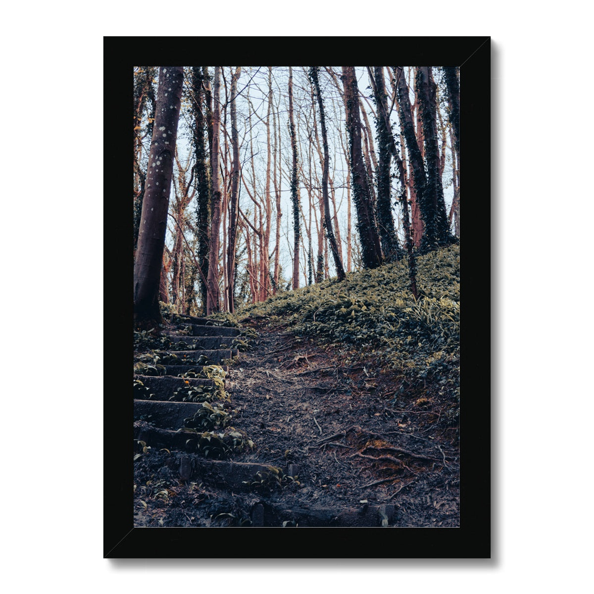 Green Escape Framed Print
