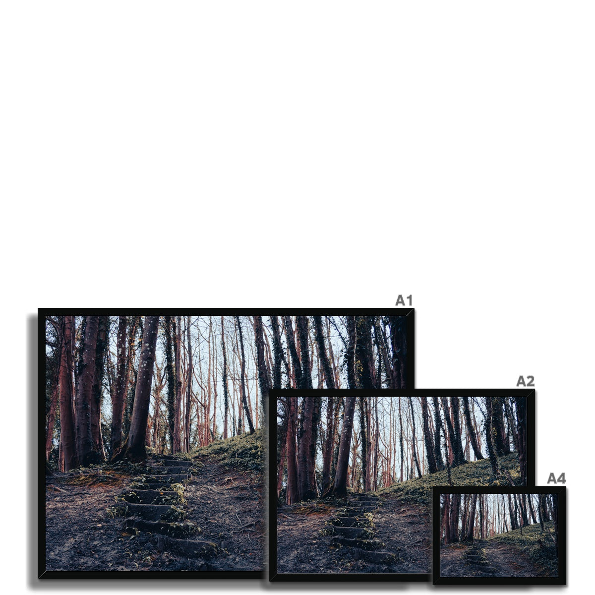 Green Escape Framed Print