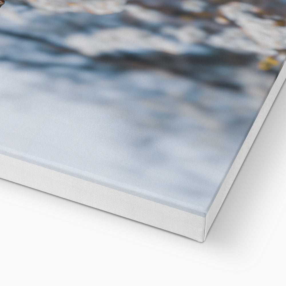 Delicate Whispers Canvas