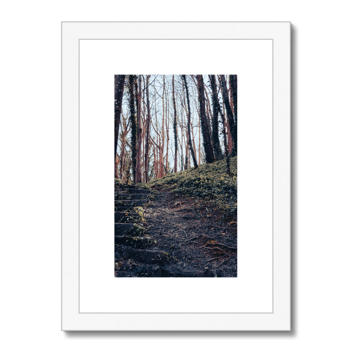 Green Escape Framed & Mounted Print