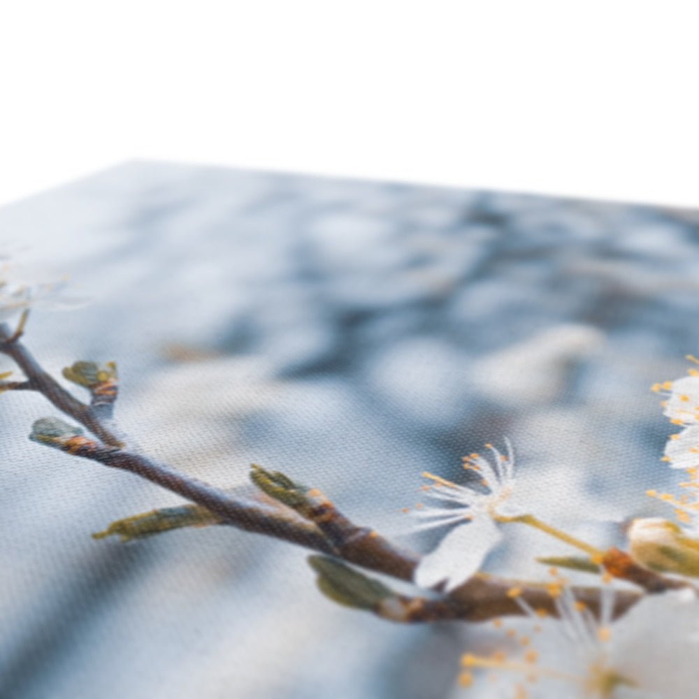 Delicate Whispers Canvas