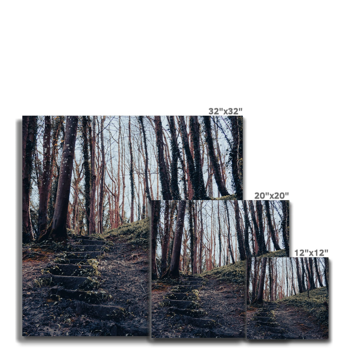 Green Escape Canvas
