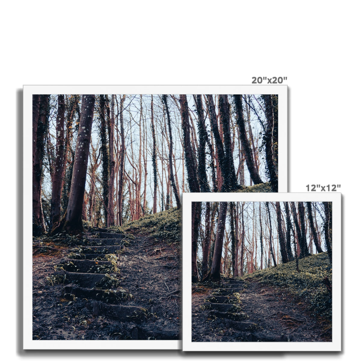 Green Escape Framed Print