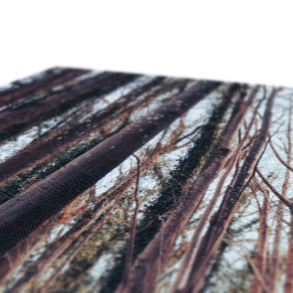Green Escape Canvas