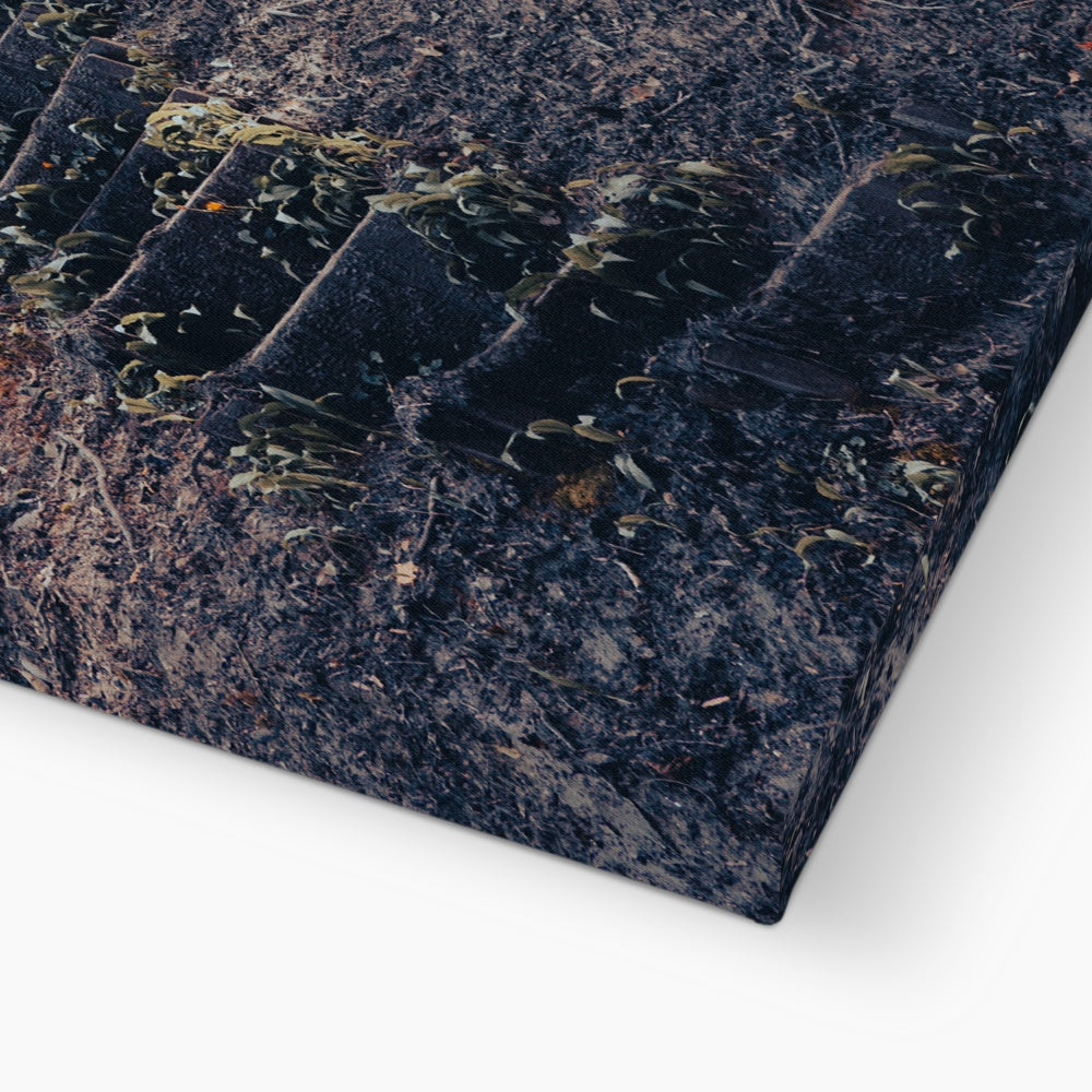 Green Escape Canvas