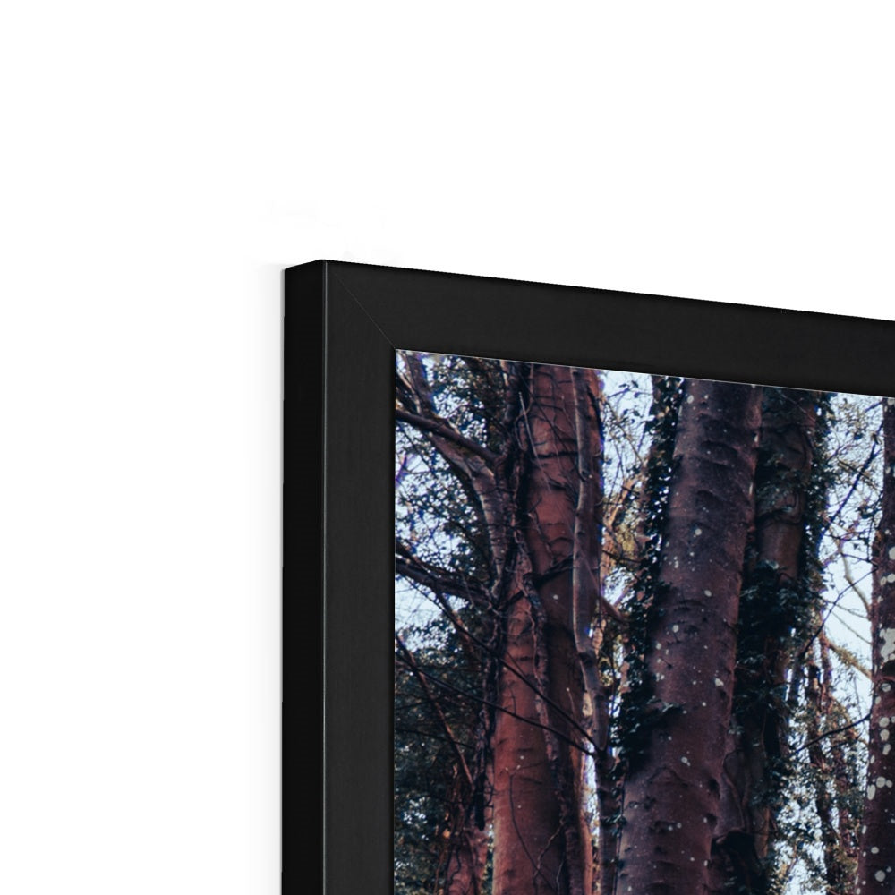 Green Escape Framed Print