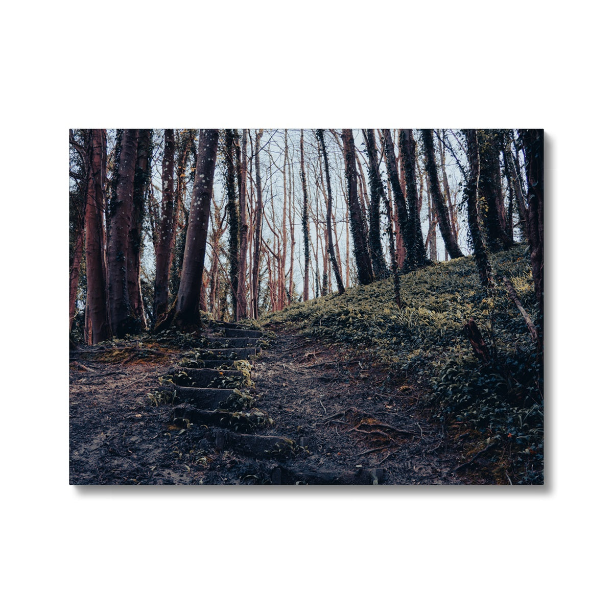 Green Escape Canvas
