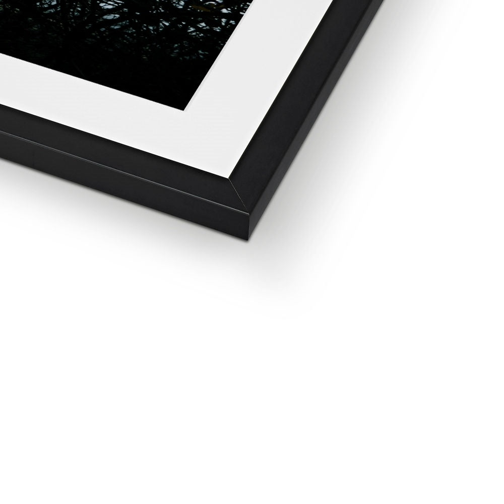 Vivid Harmony Framed & Mounted Print