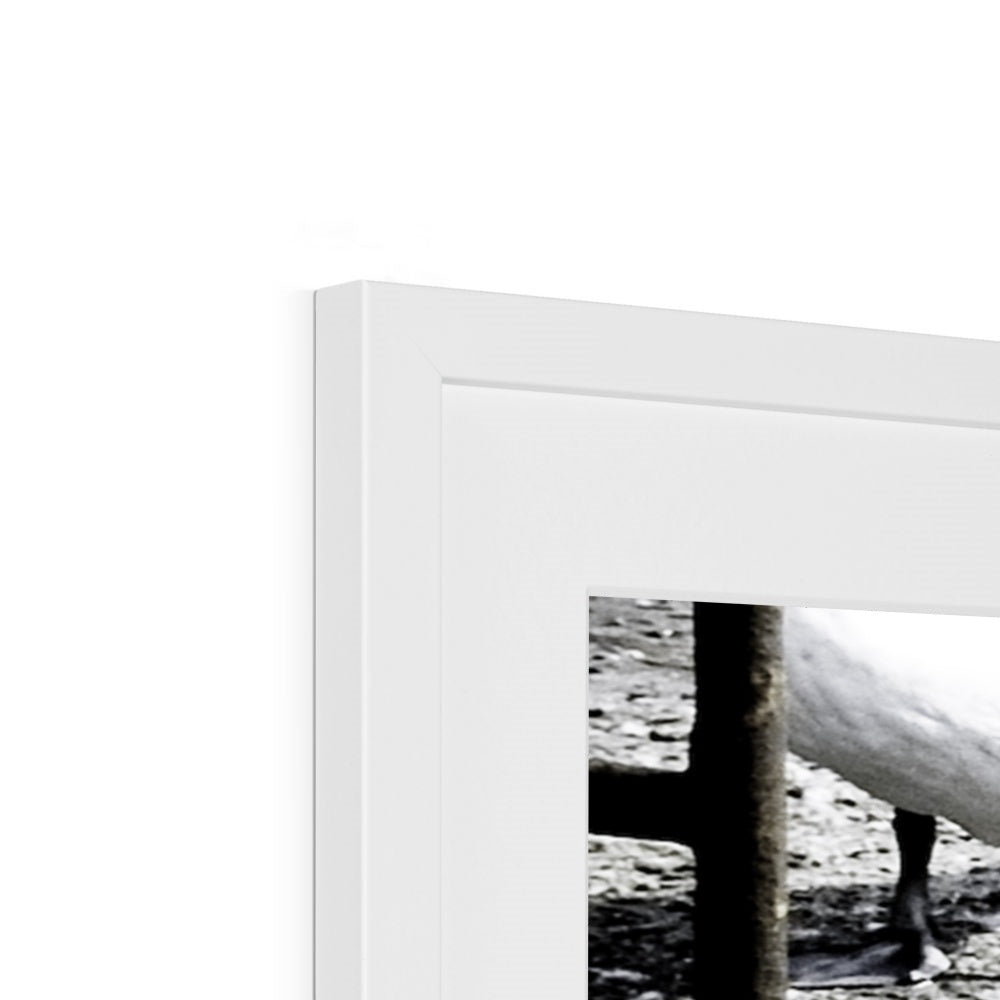 Reflections of Grace Framed & Mounted Print