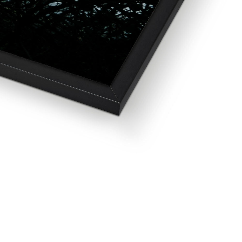 Vivid Harmony Framed Print