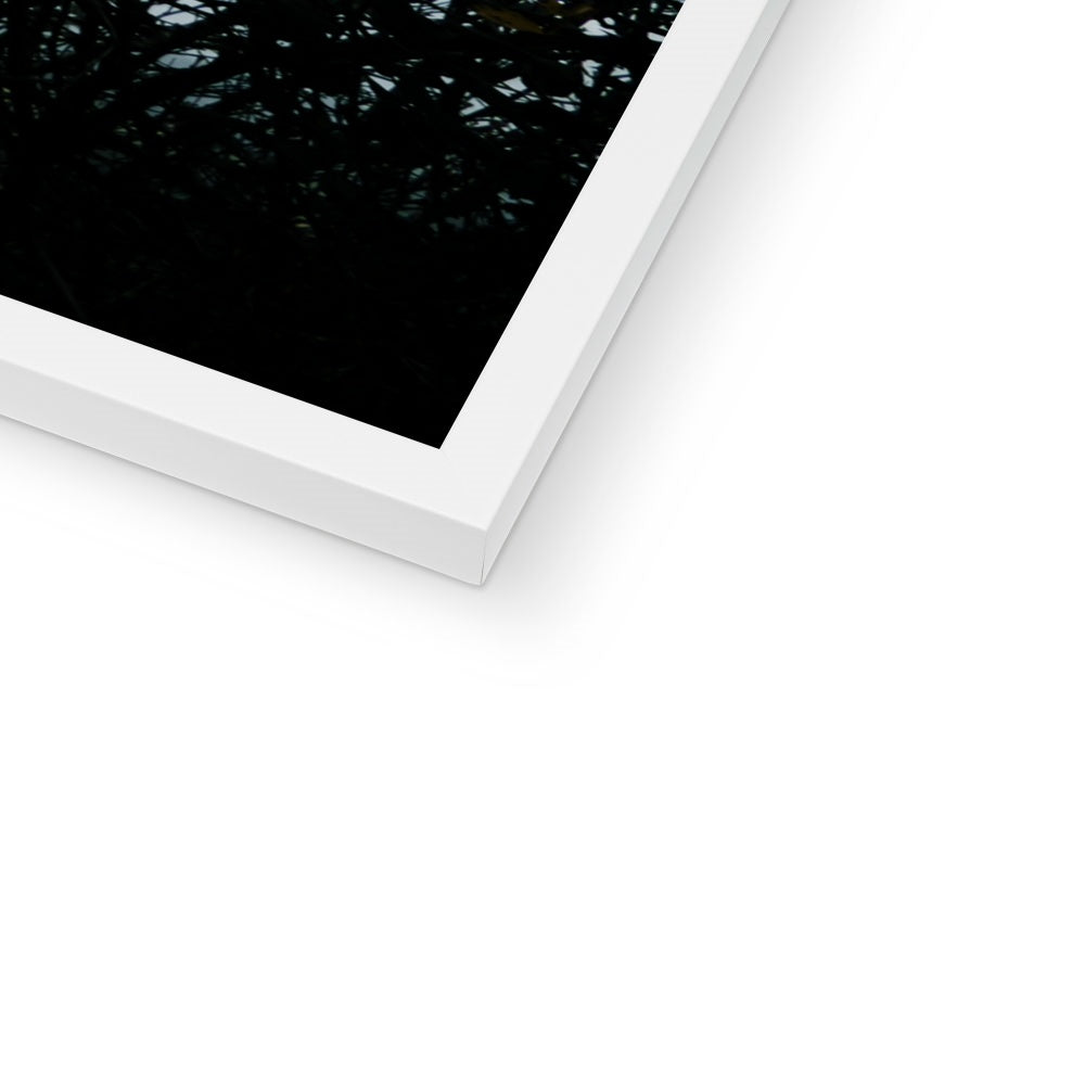 Vivid Harmony Framed Print