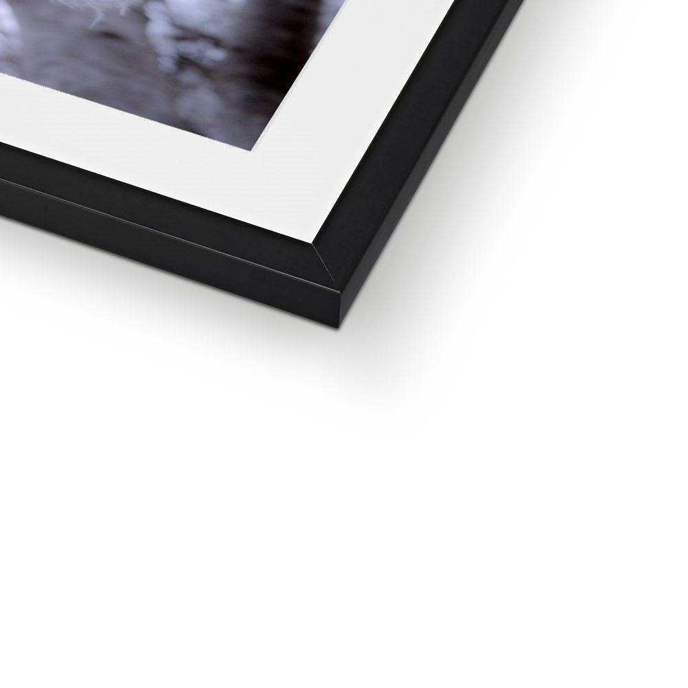 Whispers of Light Framed & Mounted Print