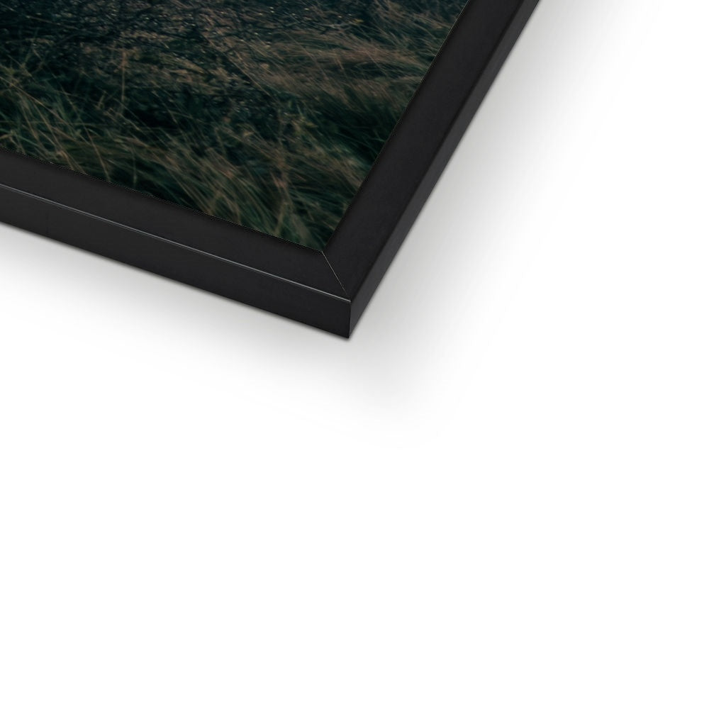 Fading Echoes Framed Print