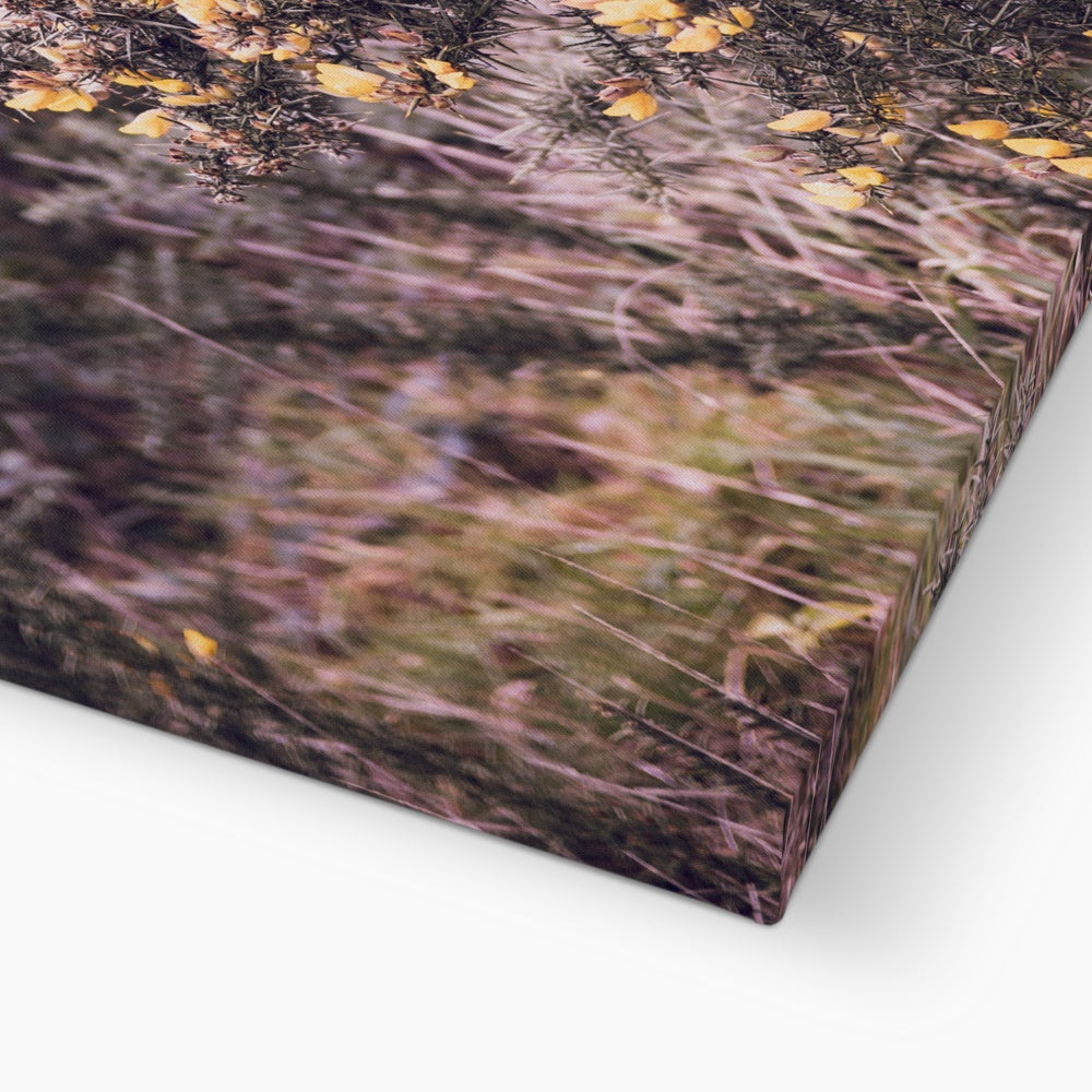 Golden Whispers Canvas