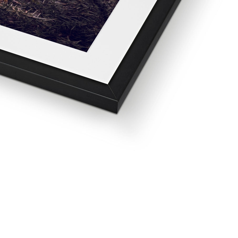 Golden Whispers Framed & Mounted Print