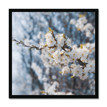 Delicate Whispers Framed Print
