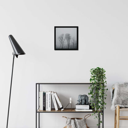 Lost in the Mist Framed Print
