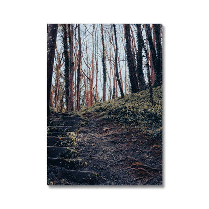 Green Escape Canvas