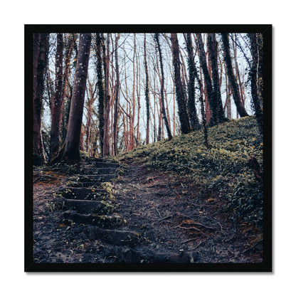 Green Escape Framed Print