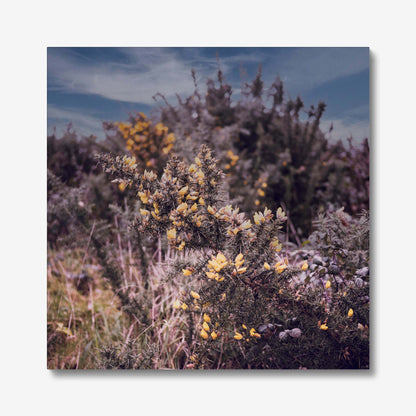 Golden Whispers Canvas