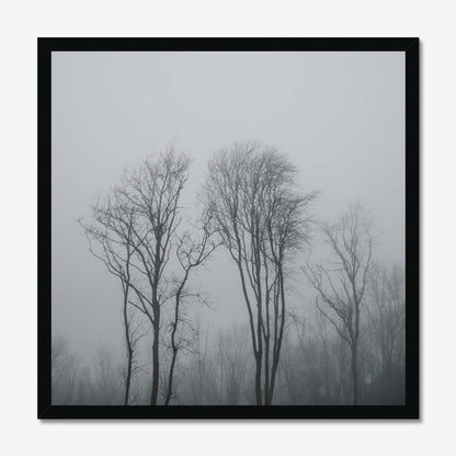 Lost in the Mist Framed Print