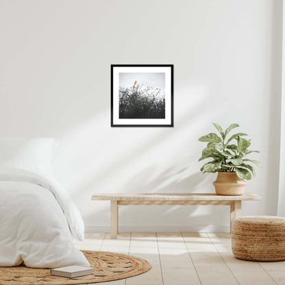 Vivid Harmony Framed & Mounted Print