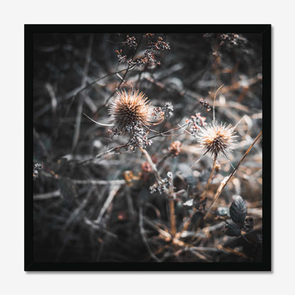 Wild Harmony Framed Print