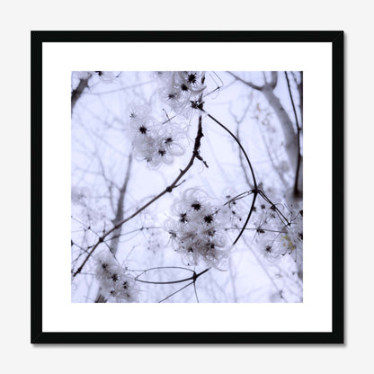 Whispers of Light Framed & Mounted Print