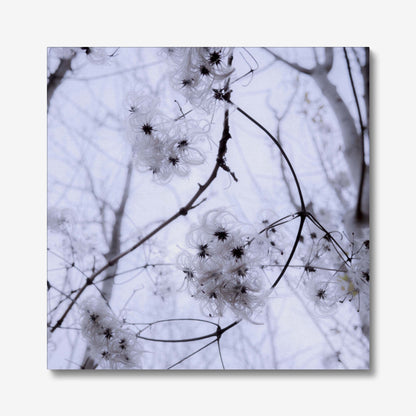 Whispers of Light Canvas